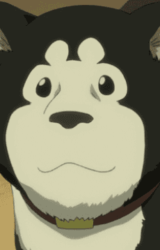 Hayate Black