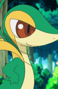 Snivy